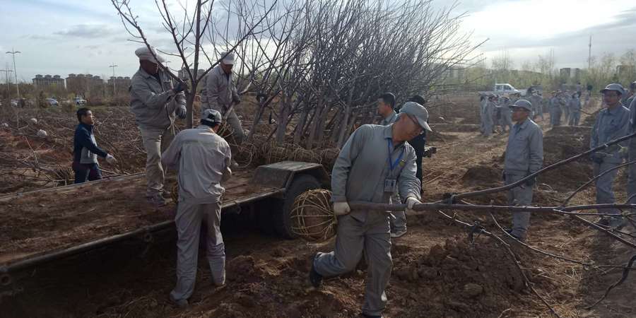 1556066731136910.jpg 4.jpg