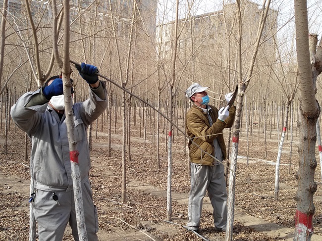 1585124371483445.jpg 圖片2.jpg