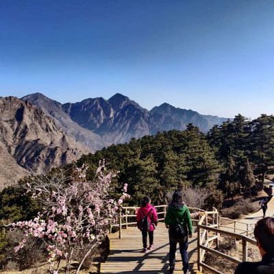 1607044963822041.jpg 圖片3.png.jpg