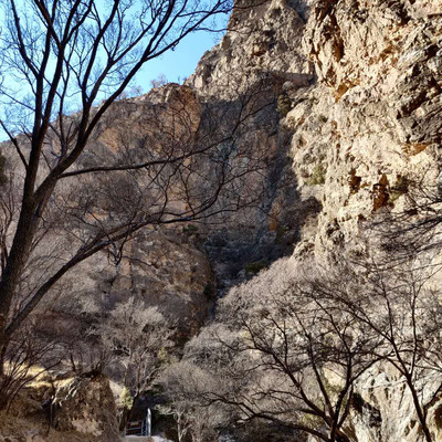 1607045002892761.jpg 圖片4.png.jpg