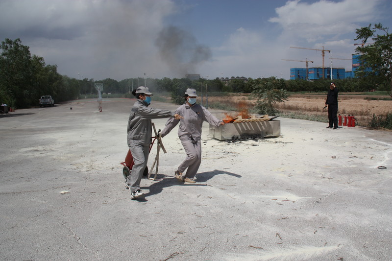 1655428525873927.jpg 9.jpg